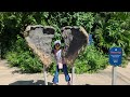 Visit The Zoo Grade 1 Song
