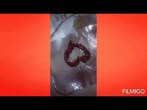 how to make heart shape chocolate garnished with out mould
