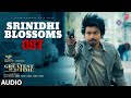 Srinidhi Blossoms OST The Greatest Of All Time Thalapathy Vijay Yuvan Shankar Raja AGS BGM