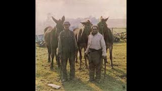 The Ozark Mountain Daredevils &quot;Arroyo&quot;