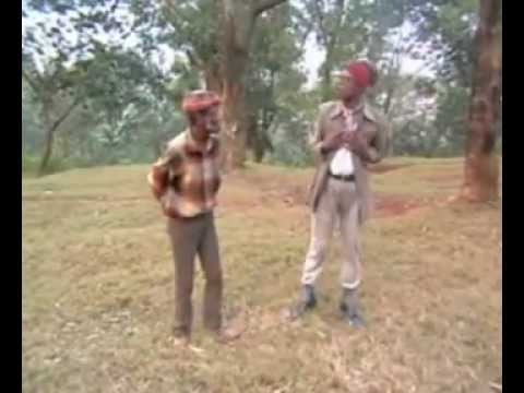 1oo dollars by Pacanga