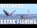 Offshore Kayak Fishing Giants Of The Pacific CATCH CLEAN COOK Field Trips Panama
