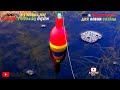 FISHING CARP HUNTING IN SARISU LAKE