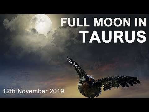 FULL MOON IN TAURUS ENERGY READ  "YES, YOU CAN"   12th November 2019 - Tarot Reading