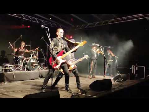 Hola Ghost - Summertime is back in Elm - 2022