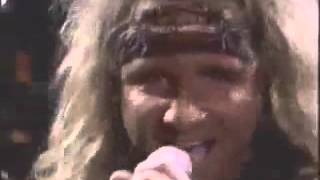 Jack Russell's Great White