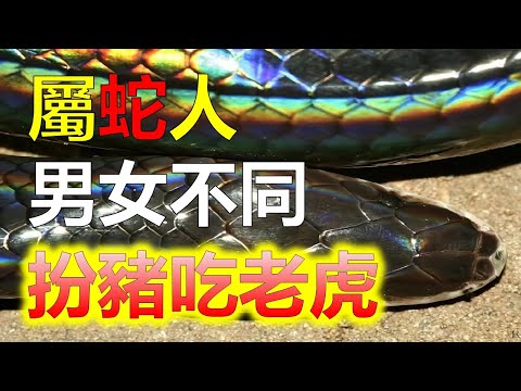 屬蛇女性格