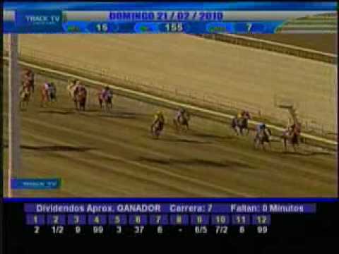 Resumen Domingo 21 de Febrero 2010 - La Rinconada