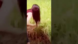 Download lagu petani cantik mp3 Download lagu petani cantik mp3