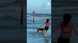 Artemis II astronaut Christina Koch shared a reunion with her dog, Sadie, after returning to Earth