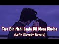 Tere Bin Nahi Lagda Dil Mera Dholna Slowed Reverb Songs