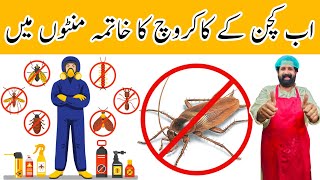 Ghar Se Cockroach Bhagany Ka Asan Tarika | Get Rid of Cockroaches Permanently | BaBa Food RRC