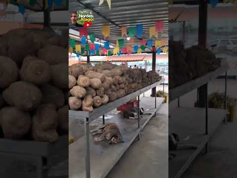 MOSTRANDO A FEIRA  DE RIO LARGO