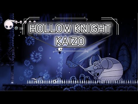 Hollow Knight Pro Plays IMPOSSIBLE ANY% KAIZO For The First Time
