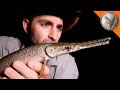 Bizarre Creatures of Texas! Bizarre Creatures of Texas!