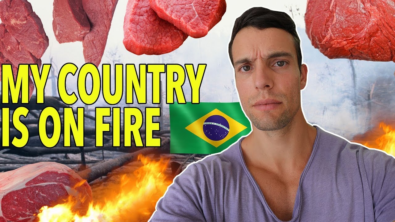 The Amazon is on FIRE because of CATTLE MEAT🥩 thumnail