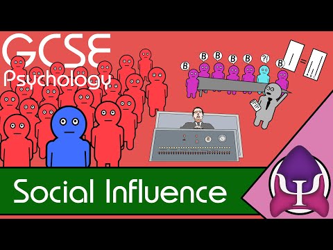 5 Social Influence