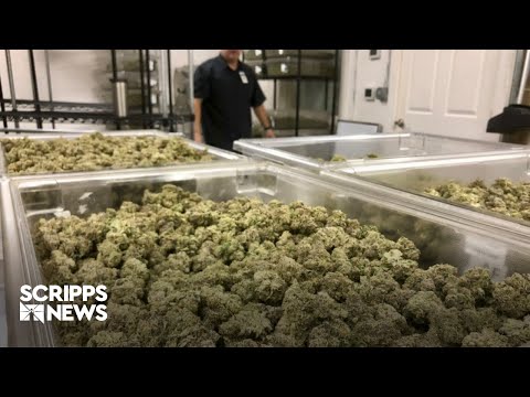 Taking a dive into America's marijuana landscape on 4/20