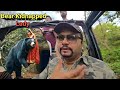 Real Jungle Story from Corbett Safari : Sloth Bear Kidnaps Woman , Rescued by Villagers From  Den , DEFAULT Thumbnail