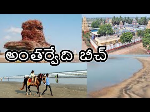 ||Anthervedhi Beach|| 🏖️ sri Laxmi Narasimha Swamy temple || East Godavari || sakinetipalli Mandal||