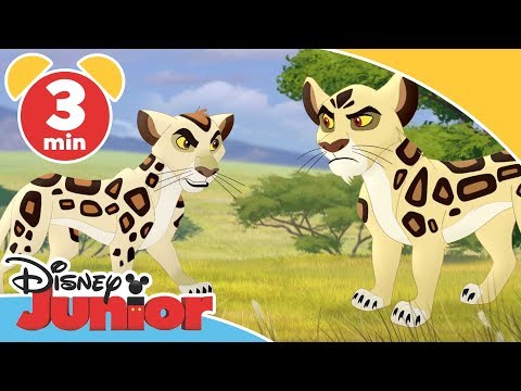 Løvenes garde | Leoparden Badili - Disney Junior Norge
