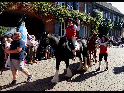 download lagu mp3 mp4 Gro Umstadt Winzerfest, download lagu Gro Umstadt Winzerfest gratis, unduh video klip Gro Umstadt Winzerfest