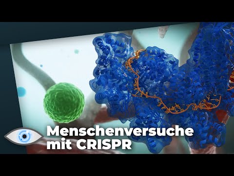 Wurden in den USA Menschenversuche mit der Genschere CRISPR gemacht?