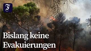 Waldbrand in Spanien zerstört rund 2.200 Hektar