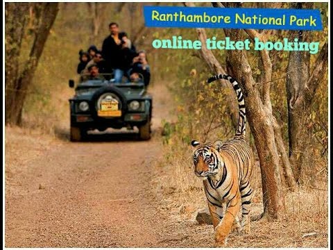 download lagu mp3 mp4 Ranthambore National Park Booking, download lagu Ranthambore National Park Booking gratis, unduh video klip Ranthambore National Park Booking
