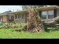 Hurricane Ida knocks down trees, damages roofs
