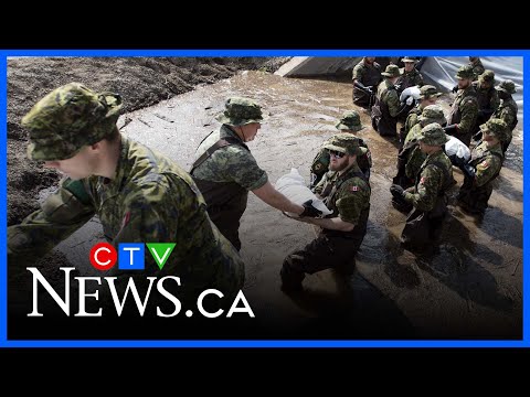 Military proposing a 300,000 volunteer force to help defend Canada
