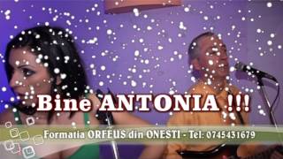 Formatia ORFEUS din ONESTI - COLAJ SARBE - 8 Martie - Tel: 0745431679 - clip 13.mkv