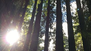 1,200 Subscribers/2 years on YouTube