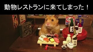 どうぶつレストランからの脱出！！！『Dinner』スマホゲーム実況　前編