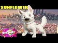 Sunflower Song - Post Malone, Swae Lee - Animation (Unofficial Music Video) (Bolt Dog Version) Sunflower Song - Post Malone, Swae Lee - Animation (Unofficial Music Video) (Bolt Dog Version)