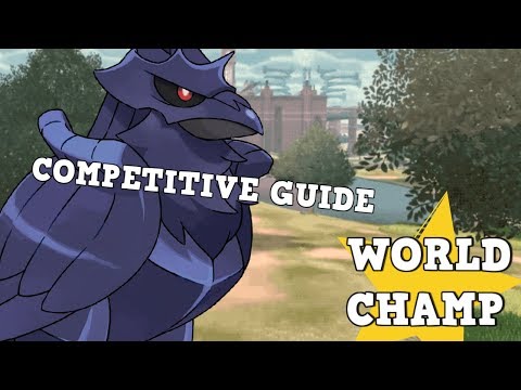 NEW BIRD IN TOWN! HOW TO USE CORVIKNIGHT!