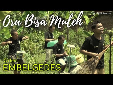 ora-iso-mulih-ora-bisa-mulih-ora-biso-mulih-cover-wagundeso-arda-didi-kempot