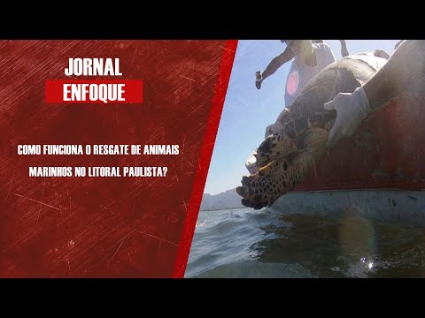 Bióloga Rosane Farah e Vanessa Ribeiro falam dos trabalhos desenvolvidos