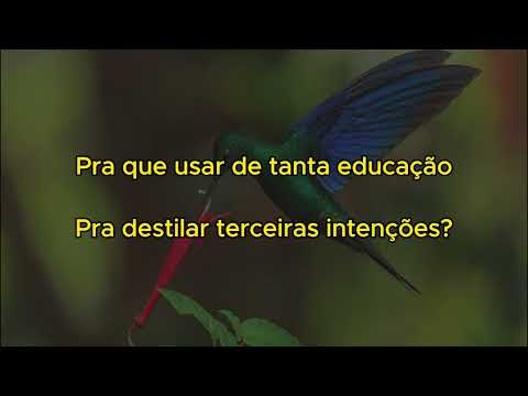 Karaokê - Codinome beija-flor (versão Carol Biazin)