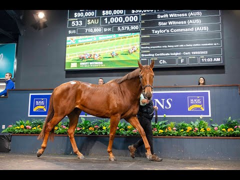 2022 Magic Millions GC National Broodmare Sale - Lot 533