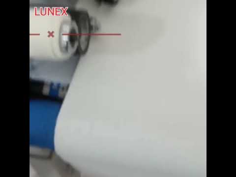 Automatic Rib Cutting Machine