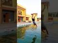 Ultimate Swimming Dive Learnswimming