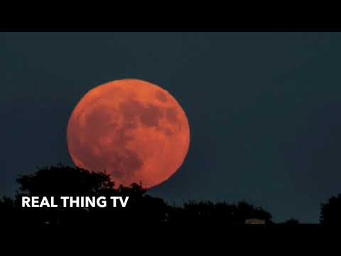 Harvest Moon calendar for September 2018