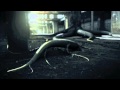 Watershed - Believe 