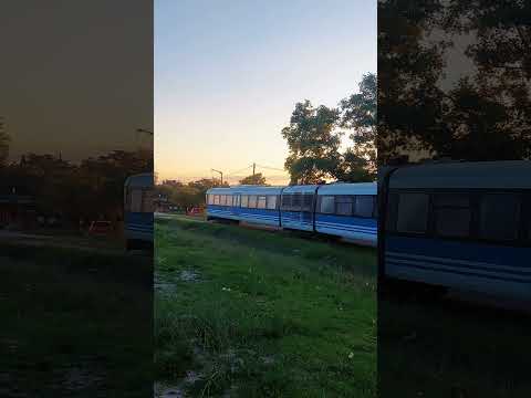 👉 Tren de las Sierras pasando por Huerta Grande 🚆