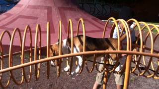 Cooper Cárdenas jugando en el parque