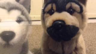 Hero~ Webkinz Music video (read description)