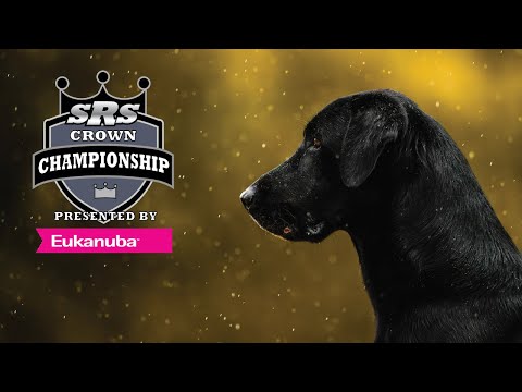 2023 SRS Crown Championship - Series 4