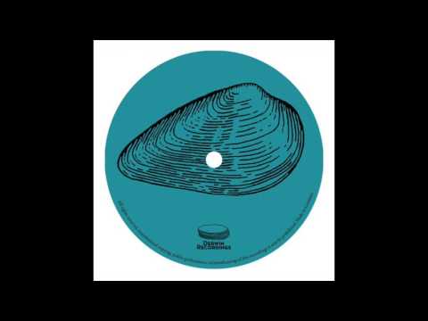 Quintus Project - Night Flight (Psychemagik remix)