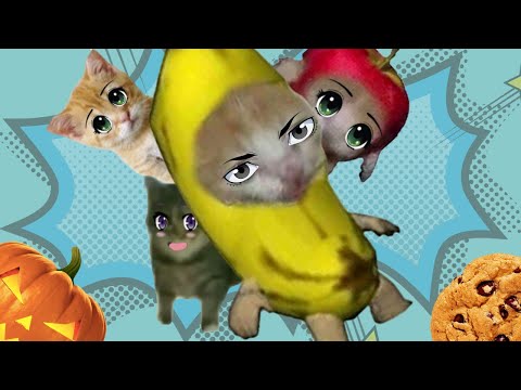 Banana Cat And Happy Cat TikTok Best Compilation Part 5